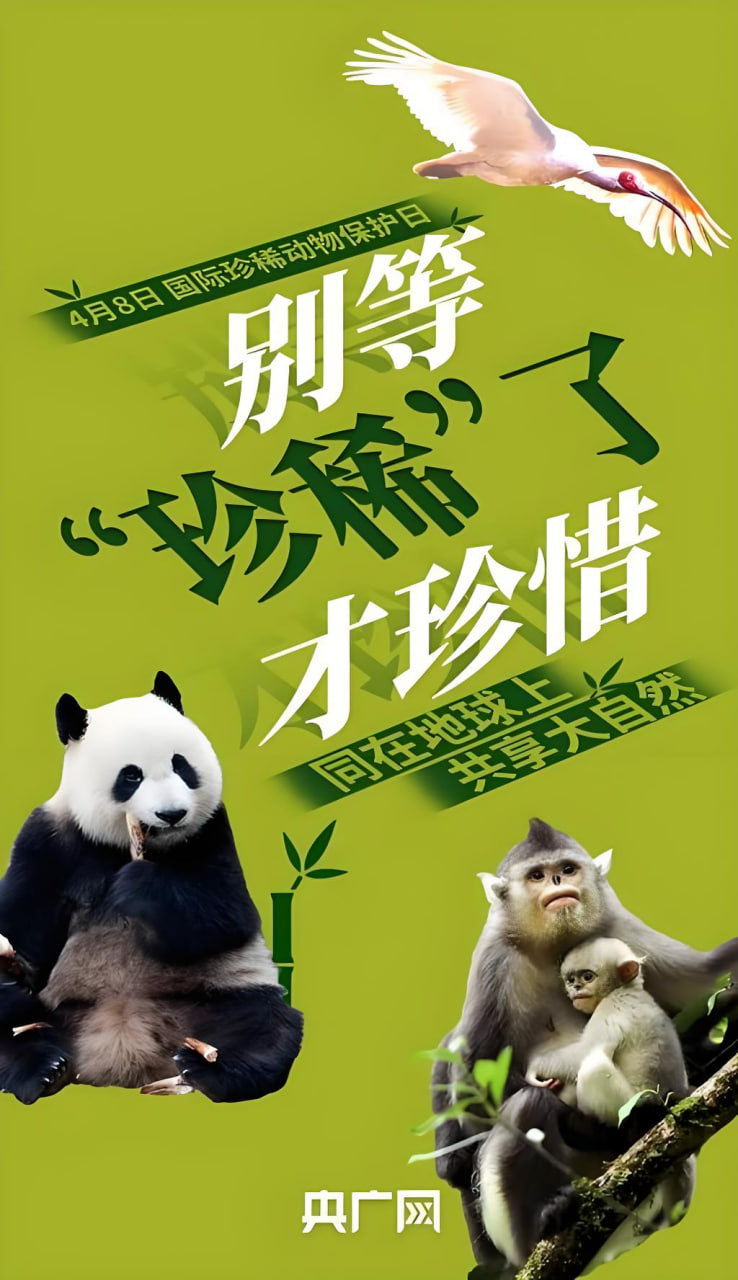 女性情感生活